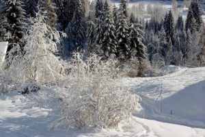 Kleinwalsertal | hahlfoto.de